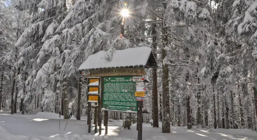Gdzie w góry zimą? Przewodnik: Tatry, Beskidy, Bieszczady i bezpieczeństwo