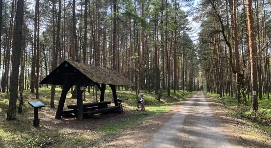 Droga przez lasy janowskie szlaki. Dziecko z rowerem przy wiacie odpoczynkowej.
