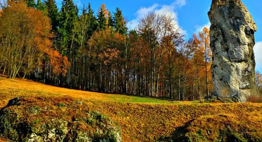 Maczuga Herkulesa na Jurze Krakowsko-Częstochowskiej. Jesienny krajobraz z dominującą skałą i kolorowym lasem.
