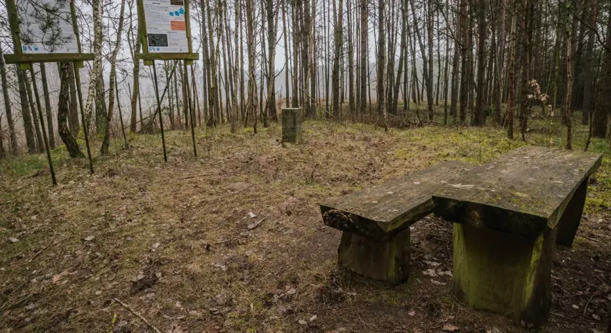 Kamienna ława i stoły w lesie, obok tablice informacyjne. Miejsce idealne na odpoczynek podczas wędrówki po górach obkaskich.