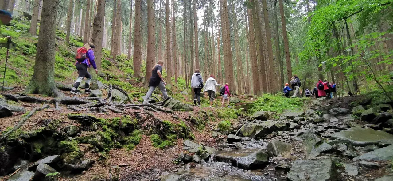 Grupa turystów wędruje po kamienistych szlakach w lesie. Widać korzenie drzew i strumyk.