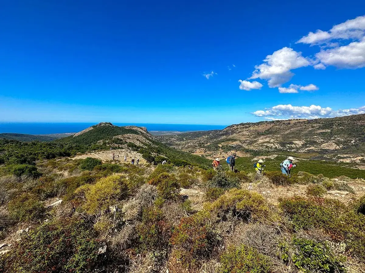 Grupa turystów wędruje po malowniczych korsykańskich górach, podziwiając widok na błękitne morze.