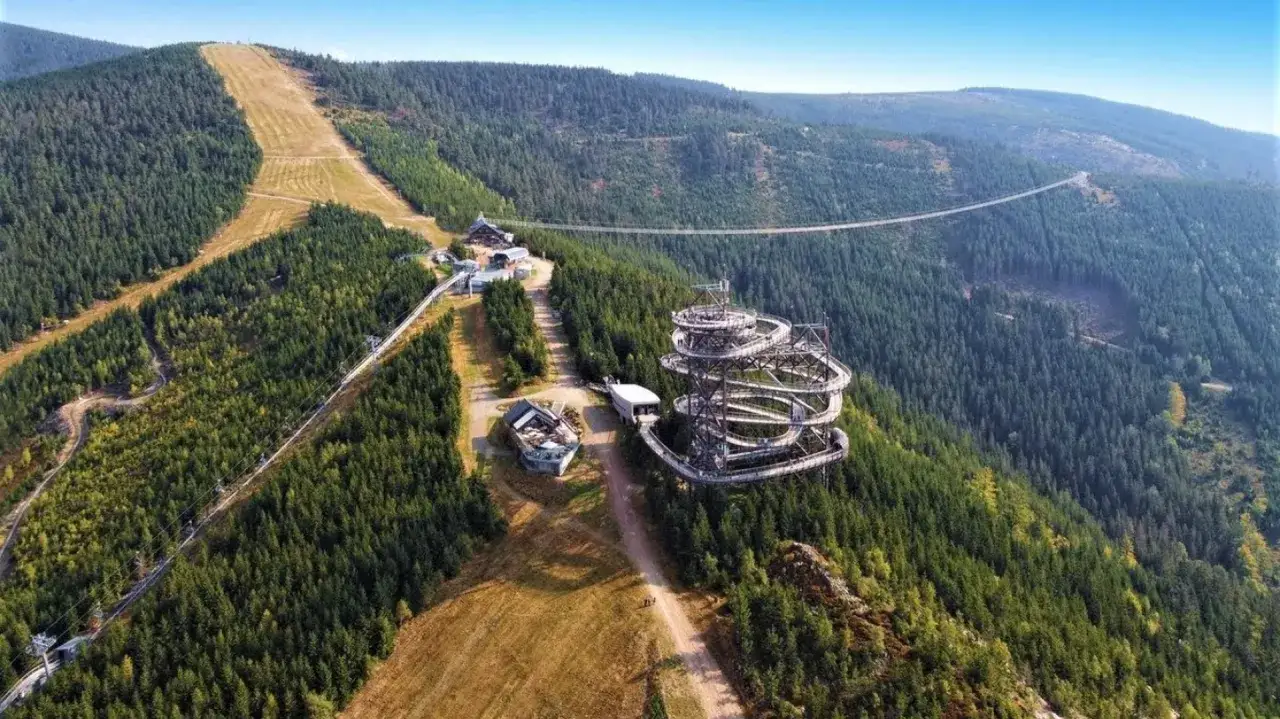 Widok na Sky Walk i najdłuższy most w Czechach, zawieszony nad lasem.