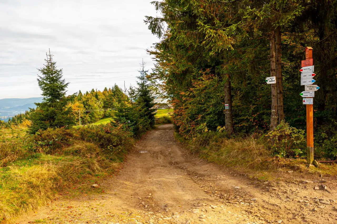 Szlaki turystyczne Beskid Sądecki Radziejowa widoki