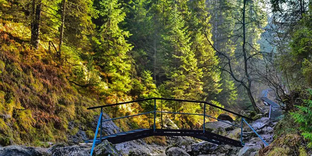 Wąwóz Homole Pieniny