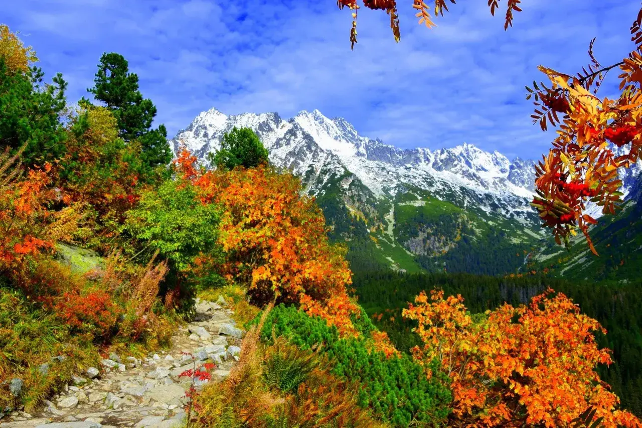 Tatry widoki szlaki jesień