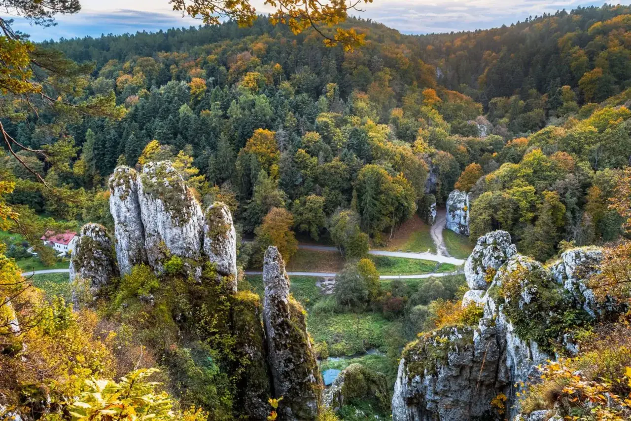 Ojcowski Park Narodowy, gdzie jest? Malowniczy krajobraz z wapiennymi skałami i jesiennym lasem.