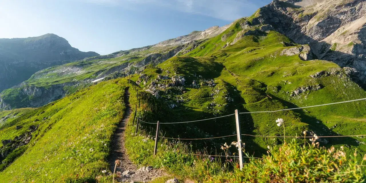 Ścieżka do trekkingu w Alpach wije się po zielonym zboczu, otoczona kwitnącymi łąkami i skalistymi szczytami.