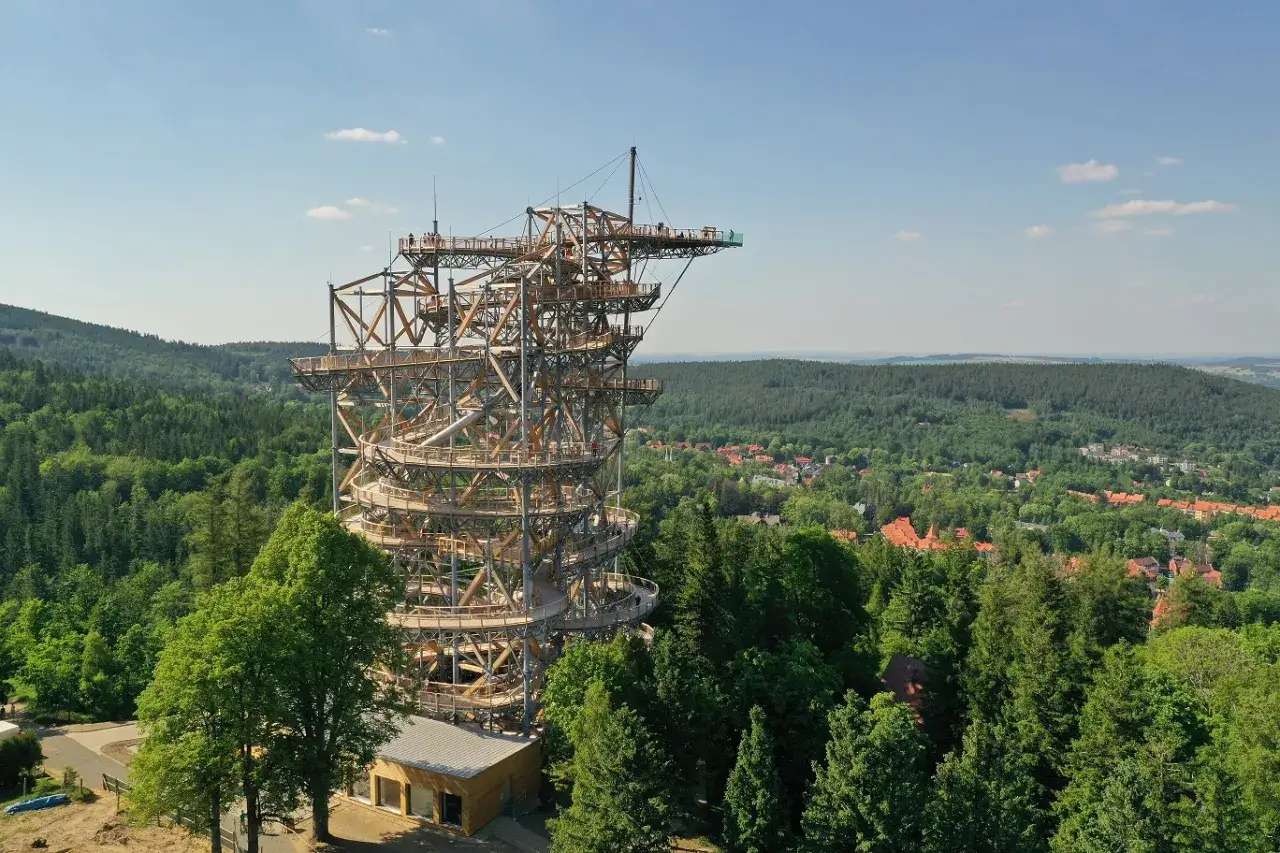 Drewniana konstrukcja skay walk wznosi się ponad lasem, oferując spacer wśród koron drzew i widok na miasteczko.