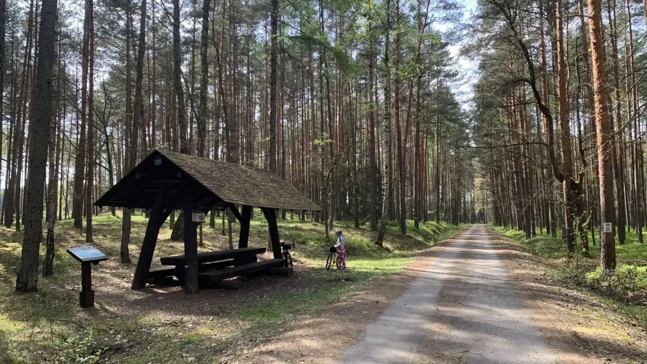 Droga przez lasy janowskie szlaki, z wiatą i rowerem.