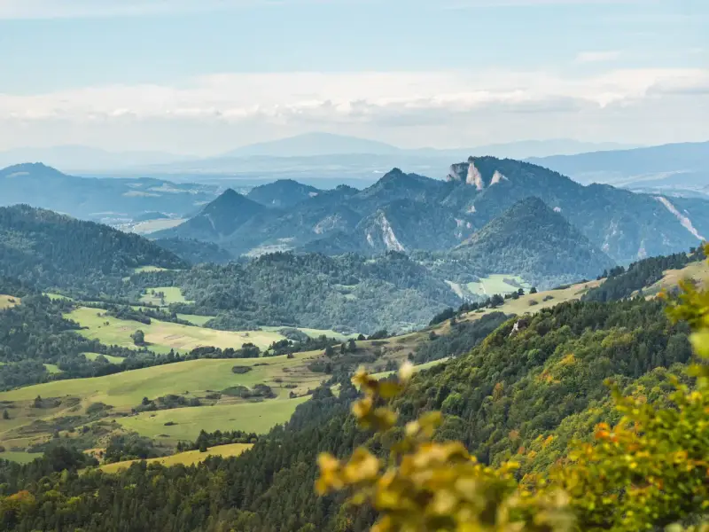 Widok na malownicze, zielone doliny i skaliste szczyty, tworzące wysoką koronę gór polski.